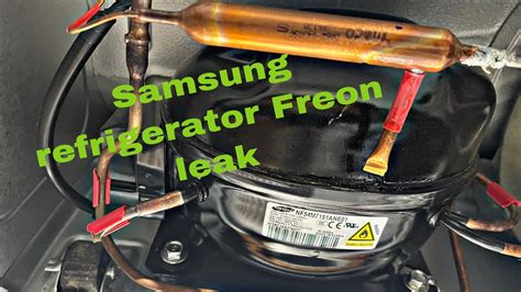 can freon leak from a refrigerator|Five Signs Your Refrigerator is Leaking Freon